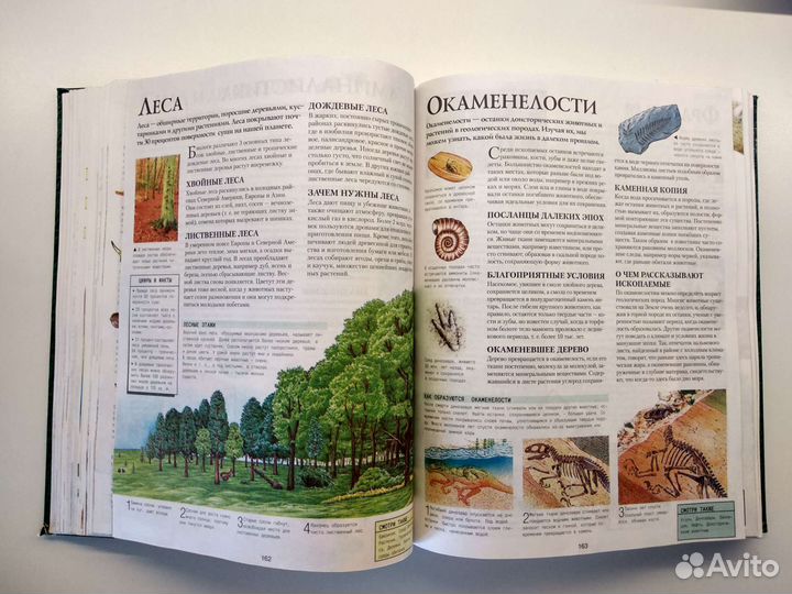 Большая иллюстрированная энциклопедия школьника