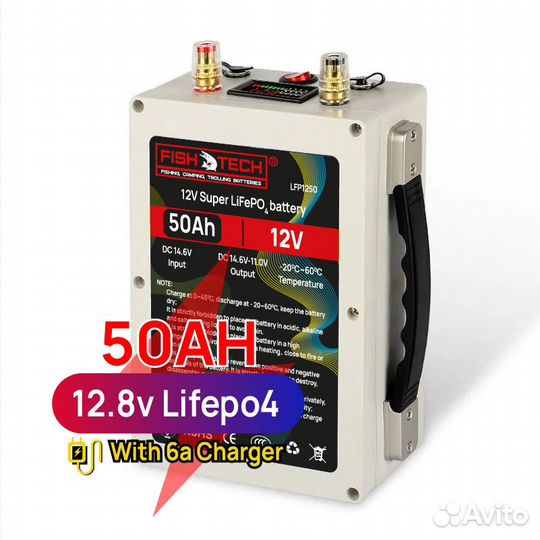 Аккумулятор lifepo4 12v 50 a/h + зу