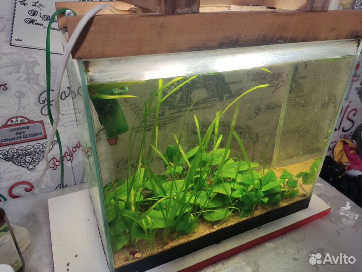 Аквариум с комплектом