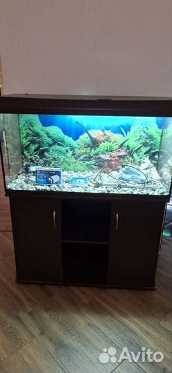 Аквариум с тумбой 200 литров