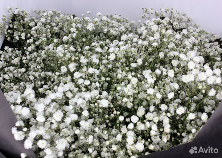 Доставка цветов букеты цветы Гипсофила