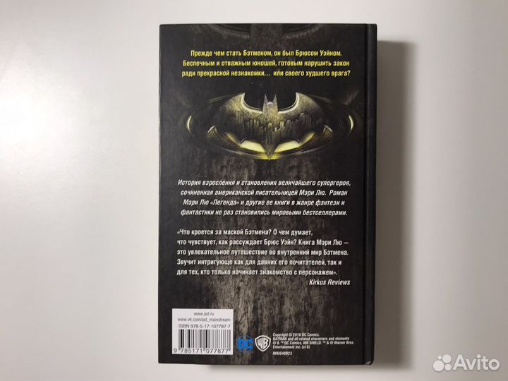 Мэри Лю: Бэтмен. Ночной бродяга