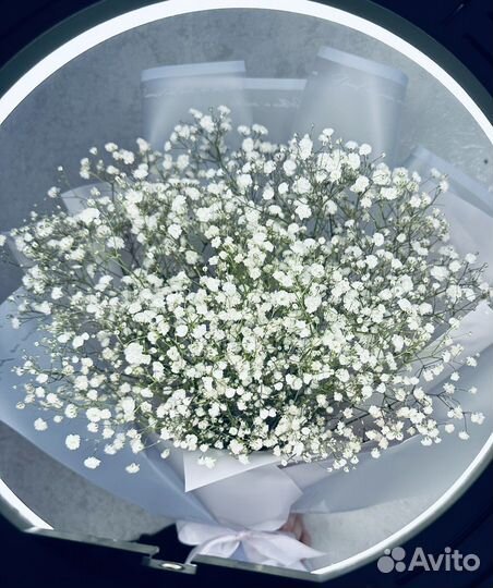 Букет из гипсофилы