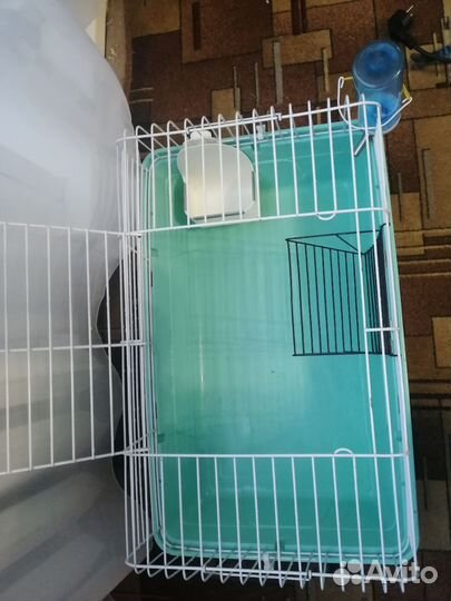 Клетка для морской свинки