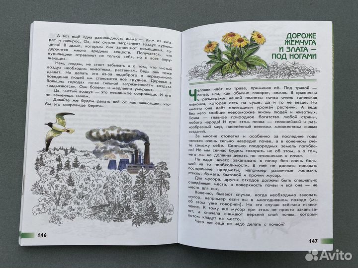 А. А. Плешаков, А. А. Румянцев 