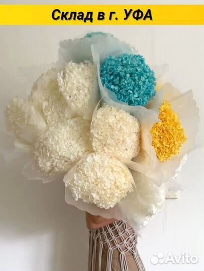 Сухоцветы Гортензия стабилизированная