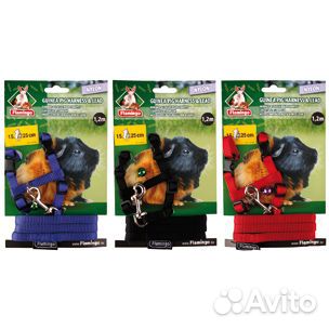 Flamingo Шлейка для свинок с колокольчиком