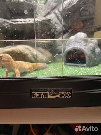 Террариум Repti-zoo