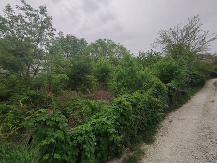 Ровно расположено. Ровно расположено