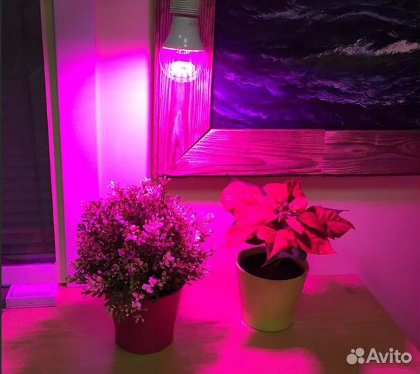 Лампа для растений 9W E27 спектр для фотосинтеза
