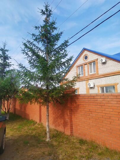 Коттедж 320 м² на участке 10 сот.