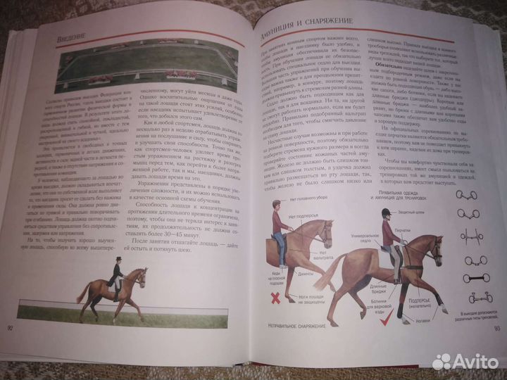 Книга для детей и подростков. Энциклопедия Лошади