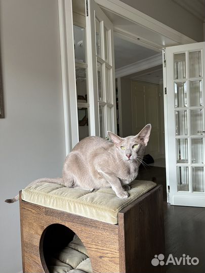 Домик для кошки