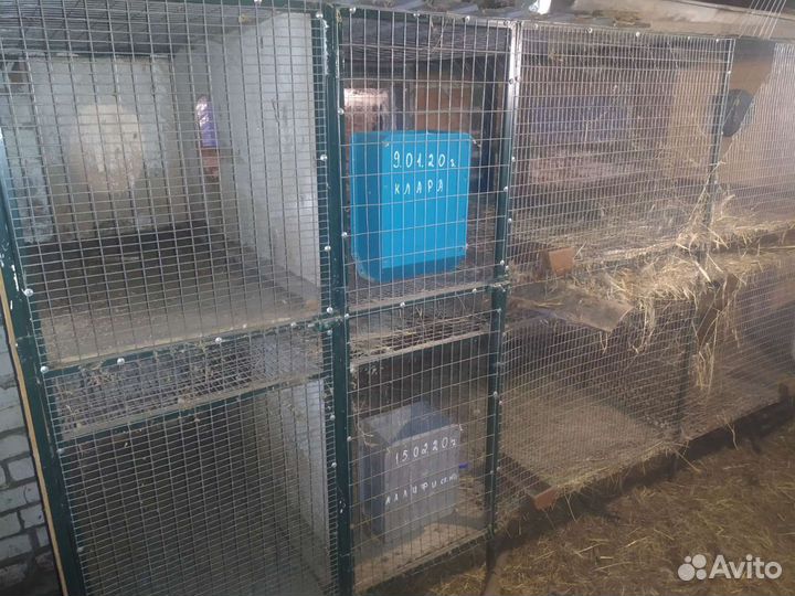 Клетки для кроликов нутрий