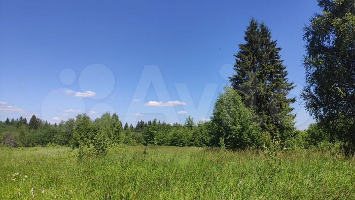Участок 65 сот. (ИЖС)