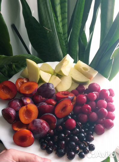 Компотная смесь замороженная