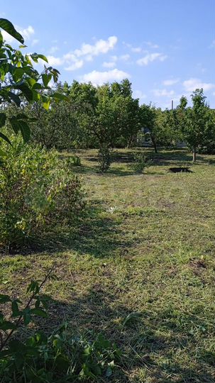 Участок 11 сот. (СНТ, ДНП)