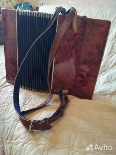 Аккордеон Юность 2