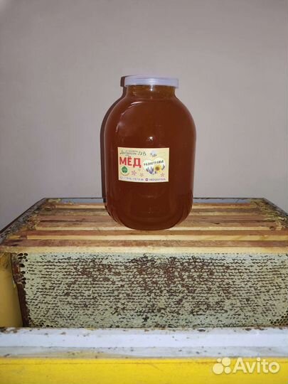 Мед 2023, со своей пасеки Лабунихин