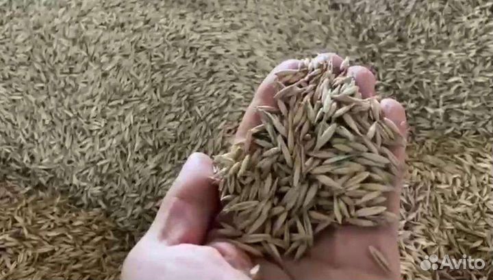 Овес в мешках