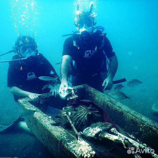 Дайвинг трансфер включен