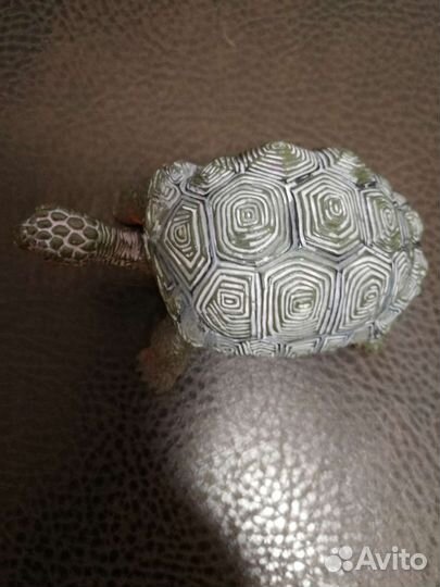 Черепаха (модель)