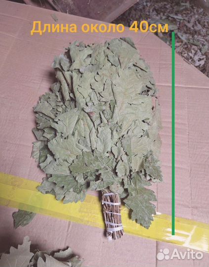 Веник для парения в бане