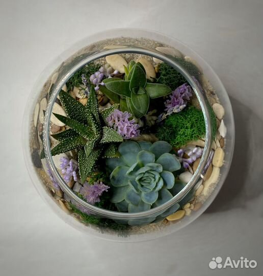 Флорариум шар