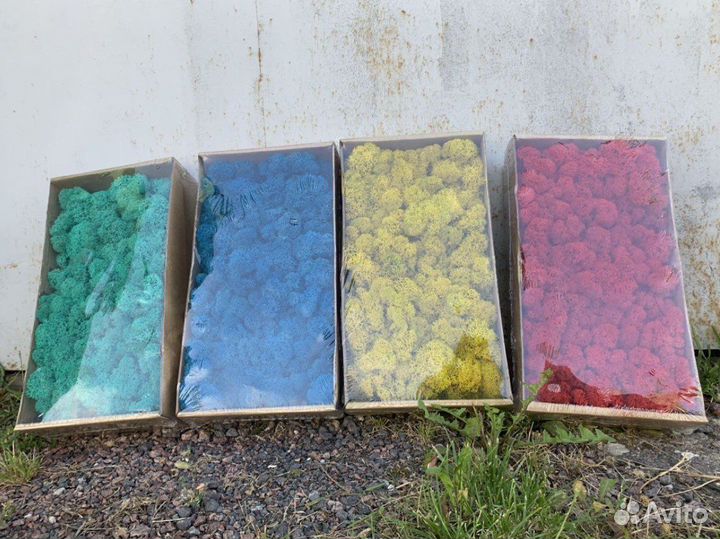 Стабилизированный мох, розница и опт, ягель