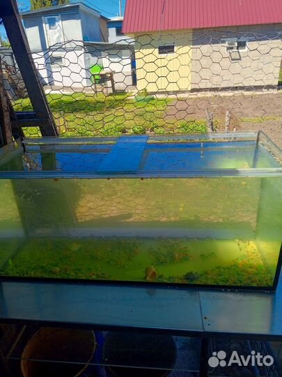 Аквариум