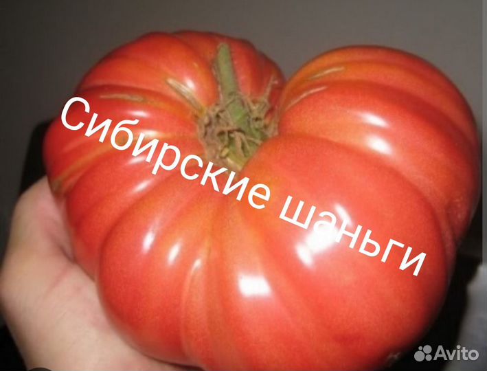 Семена сортовых томатов