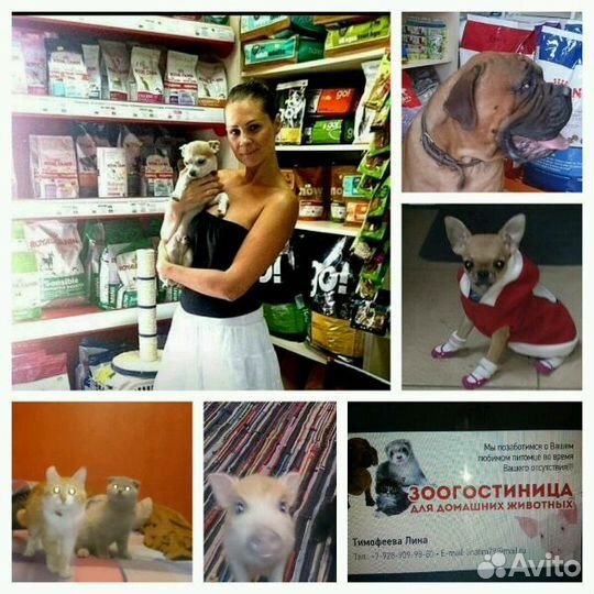 Передержка (зоогостиница) для собак, кошек, и тд