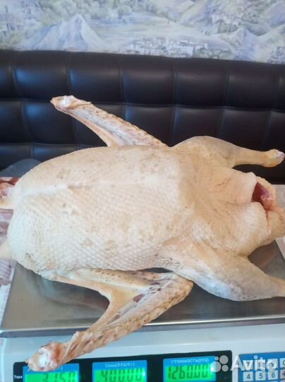 Домашнее мясо