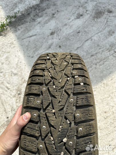 Nordman Nordman 4 195/65 R15 195