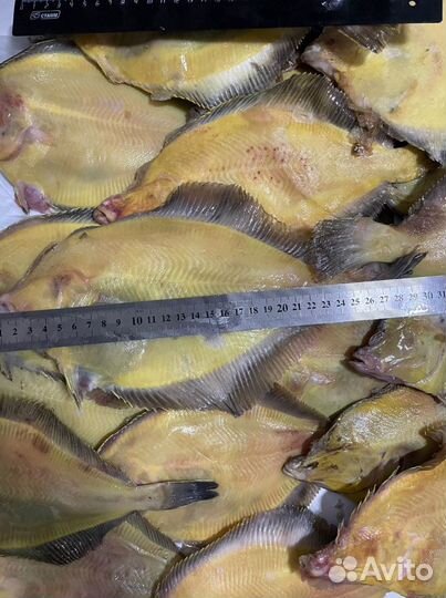 Камбала свежемороженая