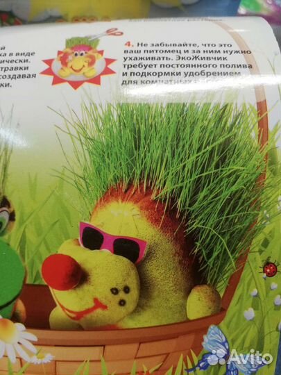 Растущая травка экоживчик