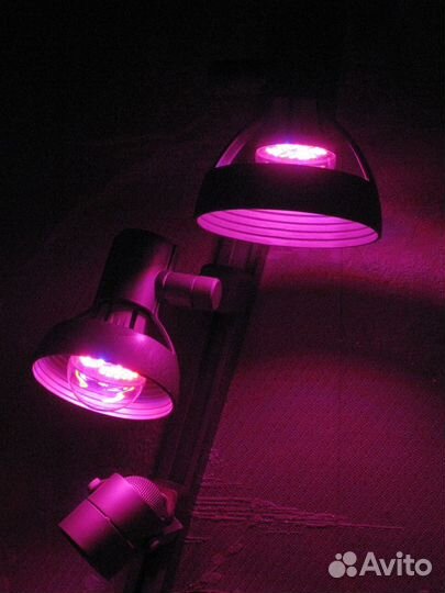 Фитолампа для растений Uniel LED E27 6W 220V