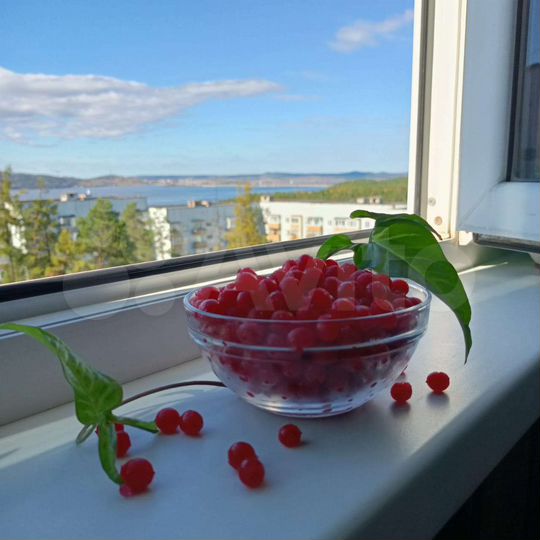 2-к. квартира, 52 м², 9/9 эт.