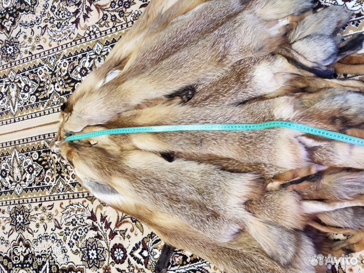 Шкуры лисы (лесная)