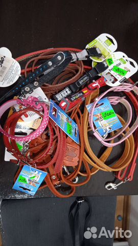 Ошейники и поводки для собак