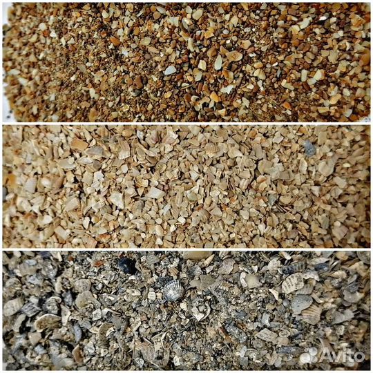 Ракушка кормовая