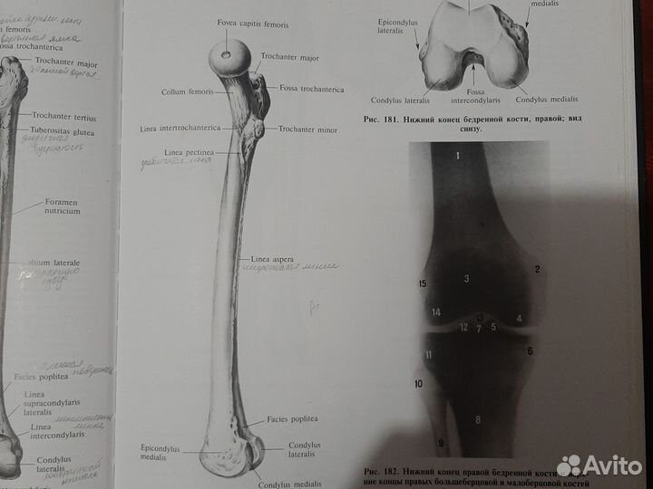 Книги по медицине