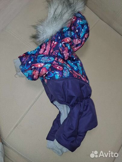 Одежда для собак