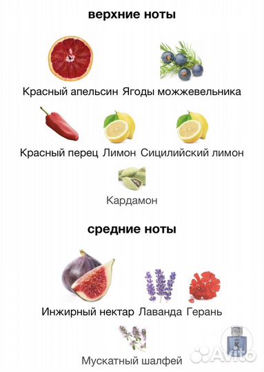 K by Dolce & Gabbana Parfum 100мл Духи / Парфюм