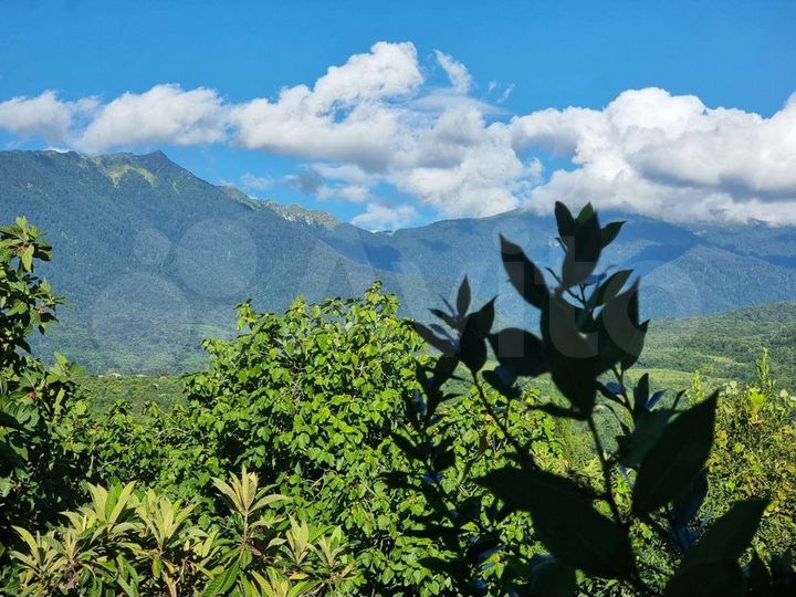 Дом 236 м² на участке 7 сот.