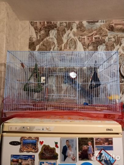 Большая клетка для птиц