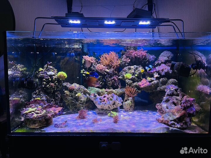 Морской Аквариум комплект