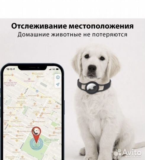 Ошейник с jps