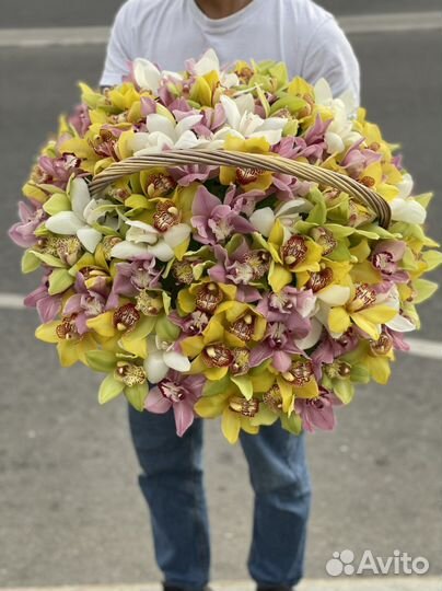 Орхидея в корзине