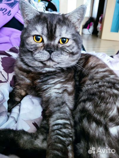 Котик для вязки